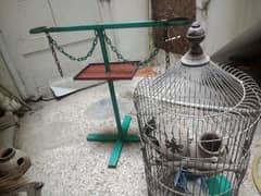 Round cage & parot stend