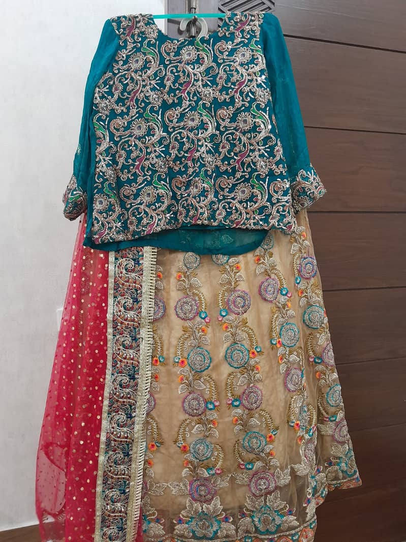 Mehndi lehnga with shiffon shirt and (bordered dupatta), ready to wear 6