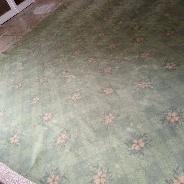 carpet 2