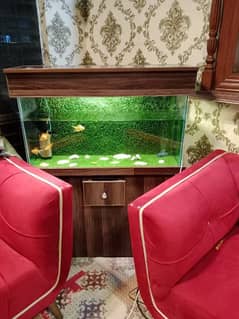 AQUARIUM FOR SALE WITH GOLD FISHES