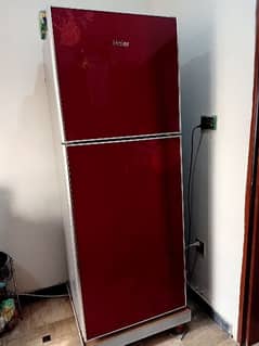 Haier glass door full size fridge