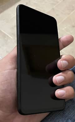 google pixel 4A5G ( panel not working)