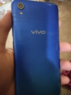 vivo