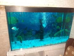 aquarium 4 sale