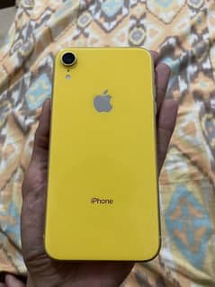 iPhone XR 128GB Factory Unlock Dual PTA Approved 0