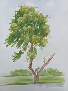 Amazing tree watercolor sketchbook