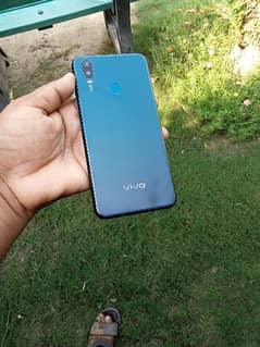 vivo