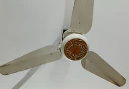 I am selling my AC/DC ceilling fan