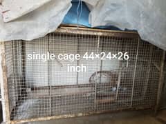 birds cage sale low price