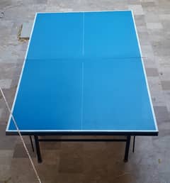 Table Tennis table