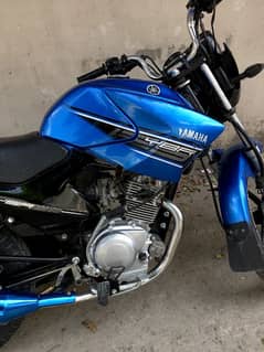 Yamaha