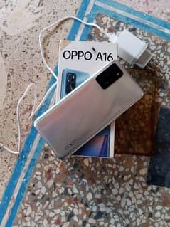 Oppo