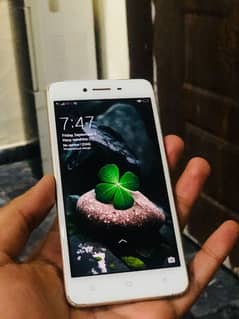 Oppo A37 Original