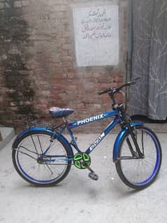 bicycles urgent for sale PHOENIX company 1 Mount use only No3004215434