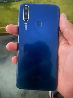 vivo