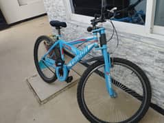 Bicycle for sale