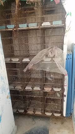 12 portion used cage looking for new home.