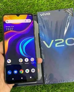 vivo