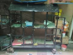 bird cage for sale