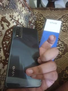 Vivo