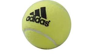 court tennis ball pack of 2