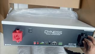 DYNESS BX51100 NAME OF PERFORMANCE | BEST PRICE