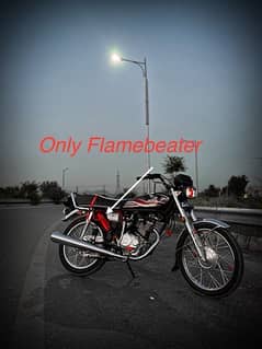 Flamebeater For sale  only