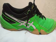 Original Asics Sports Shoes | Squash Shoes | Volleyball Shoes |