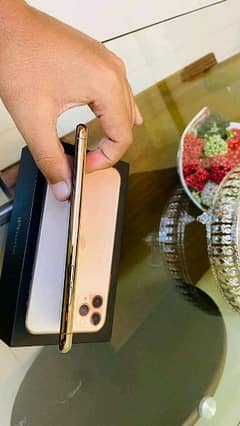 iPhone 11 pro Max 256 GB 03203653808