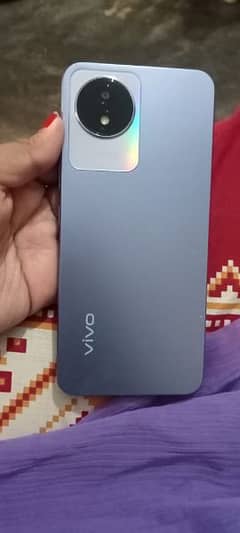 Vivo