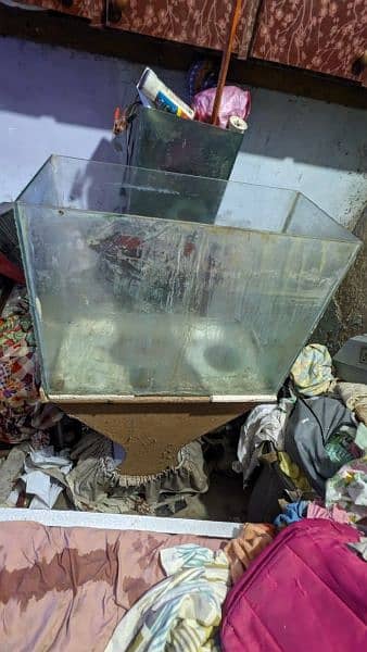 Fish And Aquarium Urgent Looking For New Shelter 4