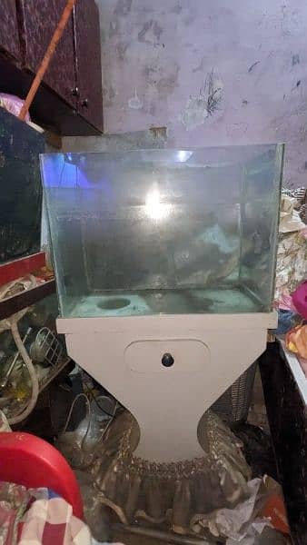 Fish And Aquarium Urgent Looking For New Shelter 5