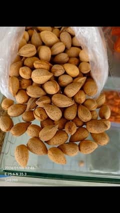 Dry fruits gilgit baltistan