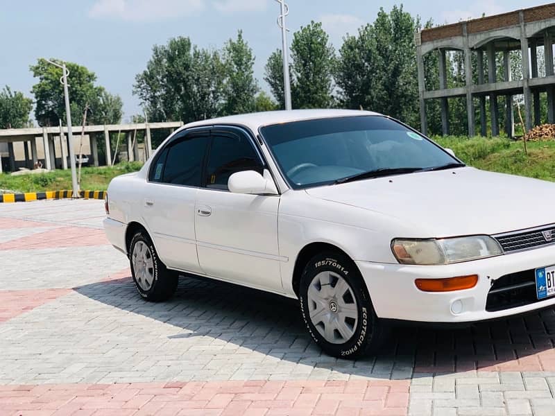 Indus corolla japani 8