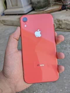 iphone Xr 64gb