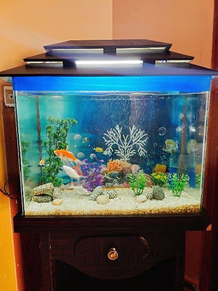 Aquarium for sale 0