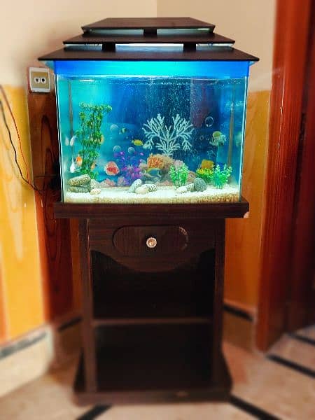 Aquarium for sale 6