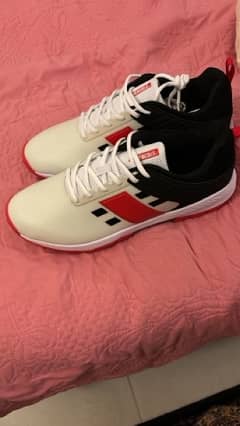 Gray Nicolls Cricket Shoes (UK-12 / US-13)