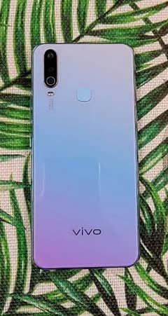 vivo