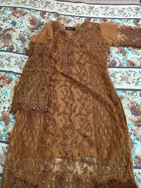 heavy embroiderd net party wear 2