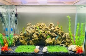 Aquarium for sell with all accessories