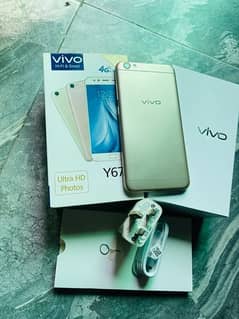 Vivo