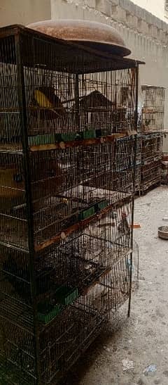 bird cage for sale 0