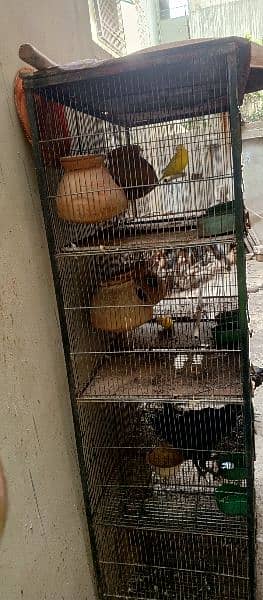 bird cage for sale 1