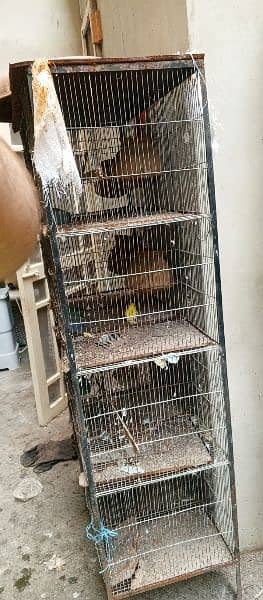 bird cage for sale 2