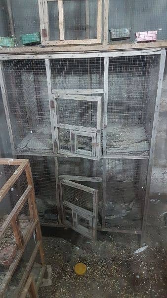 Double portion cage for sale. 0