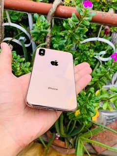 iPhone xs dual sim pta proved