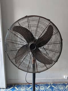 pedestal fan for sale