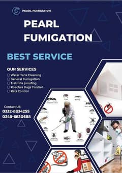 Pest control services & Termite Treatment Fumigation all types insects