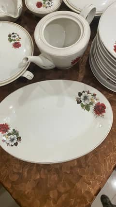 Classis style 20+ dinner set in throwaway price!!